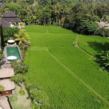 Byasa Ubud Екстер'єр фото